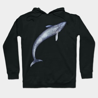 Cozy Blue Whale Hoodie